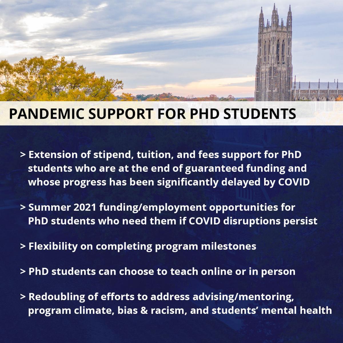 Pandemic support measures for PhDs