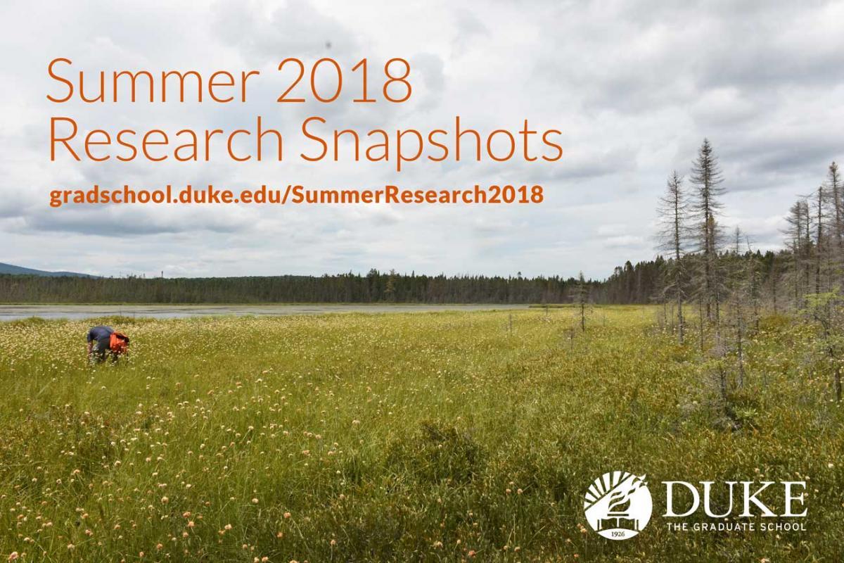 Summer Research Snapshots 2018