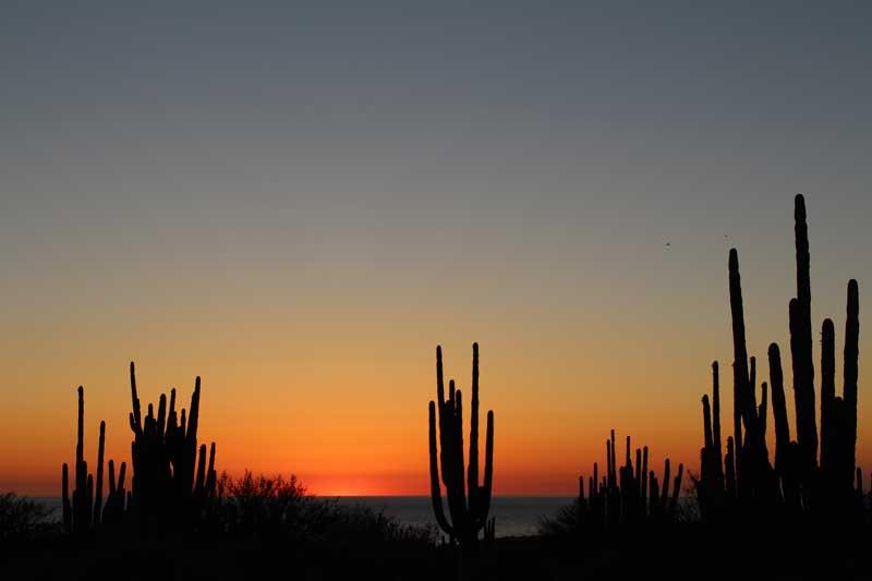Sunset over Sea of Cortez