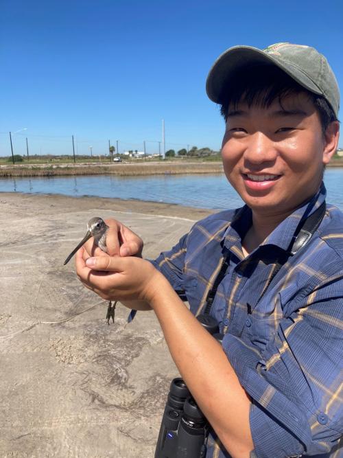 John Choi with a long-billed dowitcher