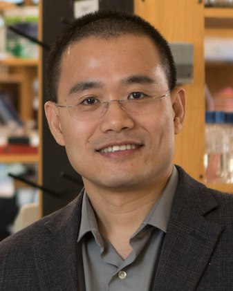 Yibin Kang, Ph.D.